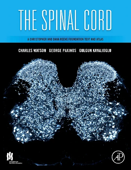 The Spinal Cord
