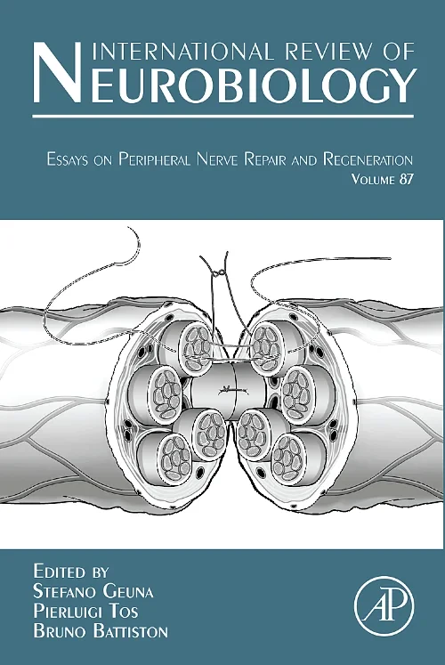 Essays on Peripheral Nerve Repair and Regeneration