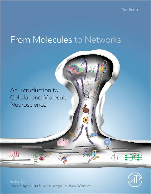 From Molecules to Networks