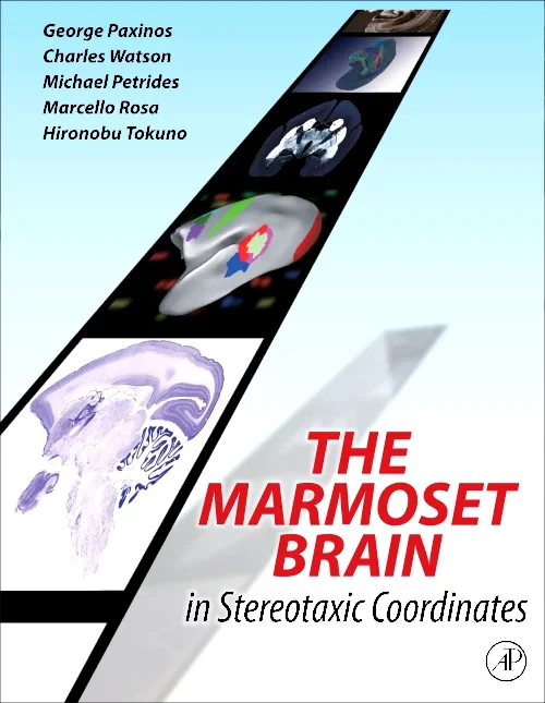 The Marmoset Brain in Stereotaxic Coordinates