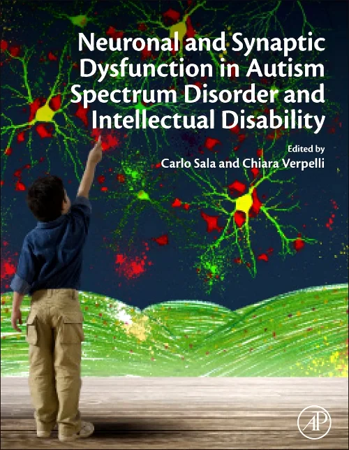 Neuronal and Synaptic Dysfunction in Autism Spectr...