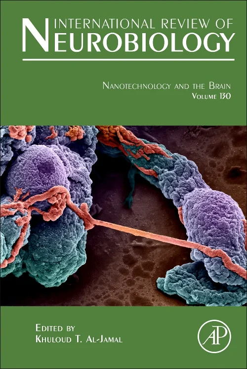 Nanotechnology and the Brain