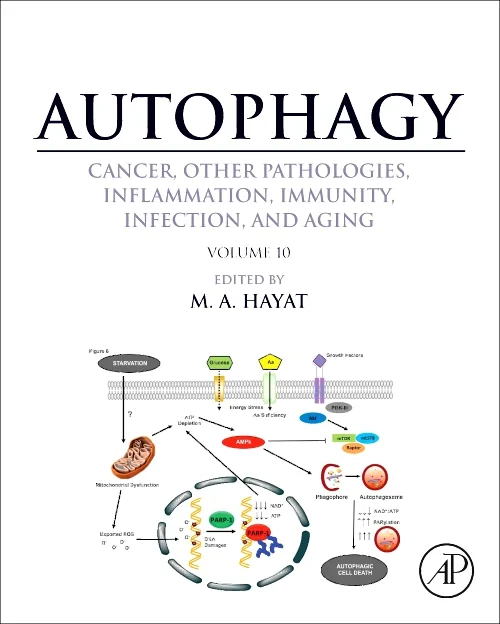 Autophagy: Cancer, Other Pathologies, Inflammation...