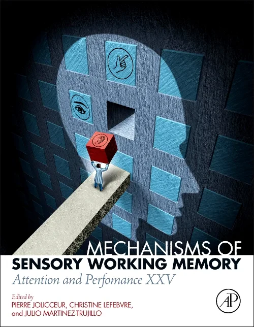 Mechanisms of Sensory Working Memory