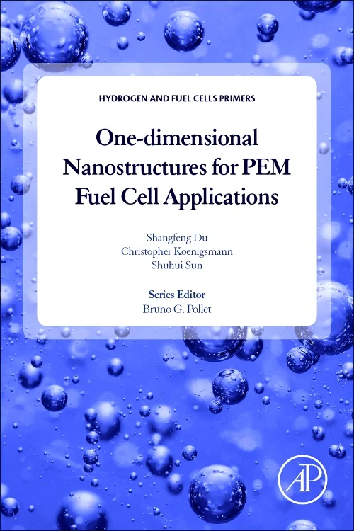One-dimensional Nanostructures for PEM Fuel Cell A...