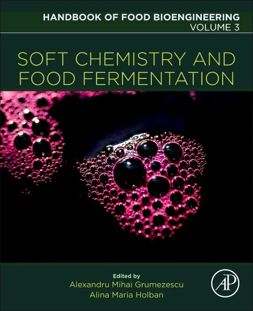 Soft Chemistry and Food Fermentation