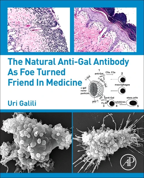 The Natural Anti-Gal Antibody as Foe Turned Friend...