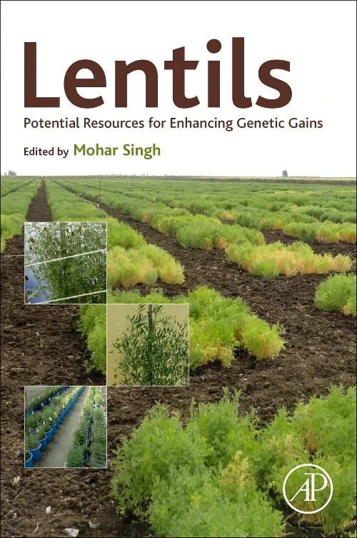 Lentils