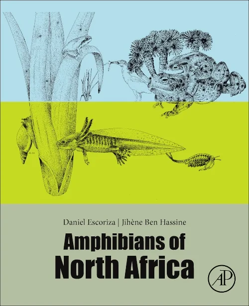 Amphibians of North Africa