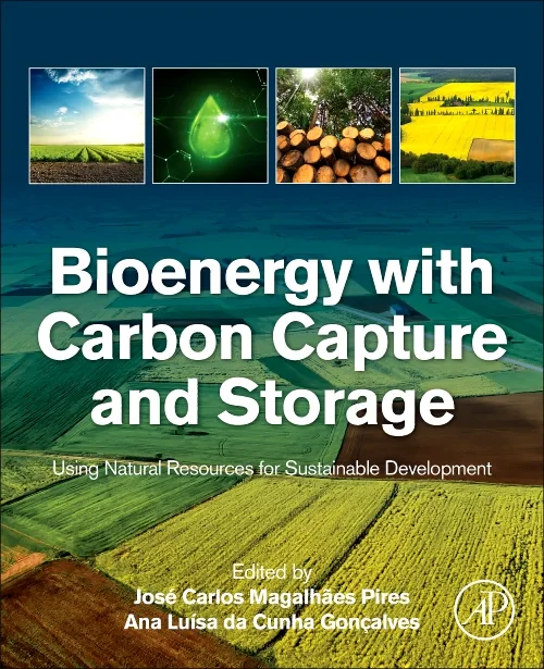 Bioenergy with Carbon Capture and Storage