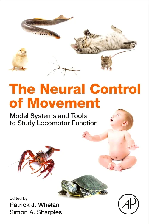 The Neural Control of Movement