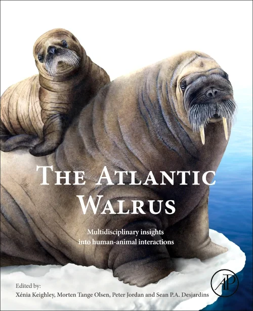 The Atlantic Walrus