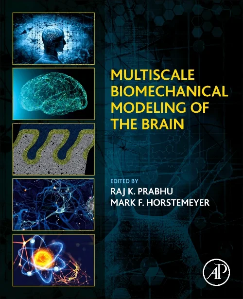 Multiscale Biomechanical Modeling of the Brain