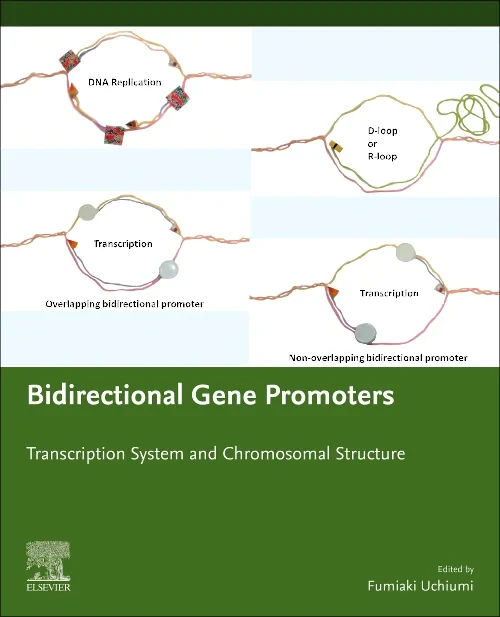 Bidirectional Gene Promoters