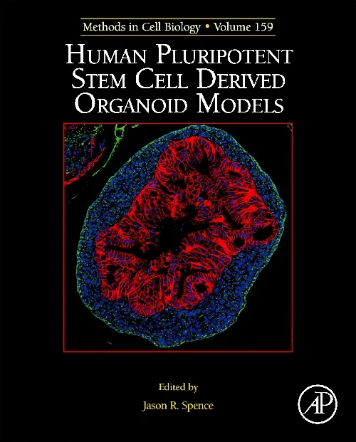 Human Pluripotent Stem Cell Derived Organoid Model...