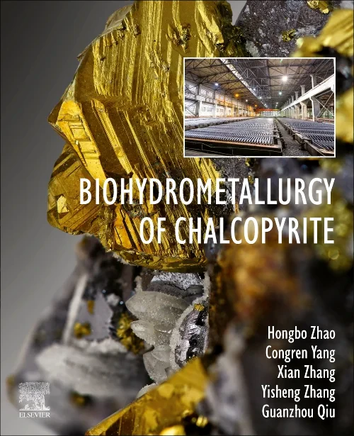 Biohydrometallurgy of Chalcopyrite