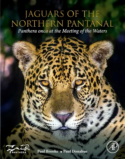 Jaguars of the Northern Pantanal