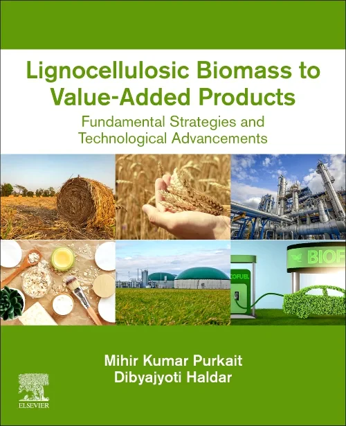 Lignocellulosic Biomass to Value-Added Products