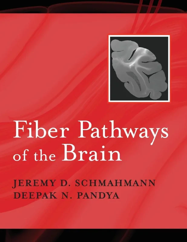 Coperta cărții "Fiber Pathways of the Brain" de autor necunoscut