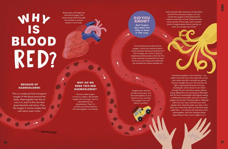 Coperta cărții "Can You Get Rainbows in Space?" de autor necunoscut