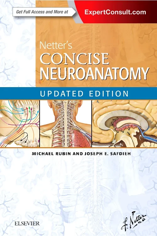 Netter's Concise Neuroanatomy Updated Edition