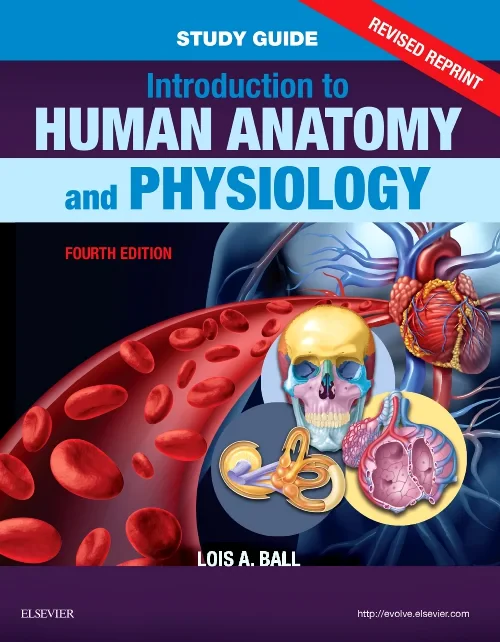 Study Guide for Introduction to Human Anatomy and ...