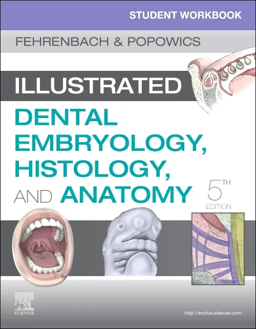 Student Workbook for Illustrated Dental Embryology...