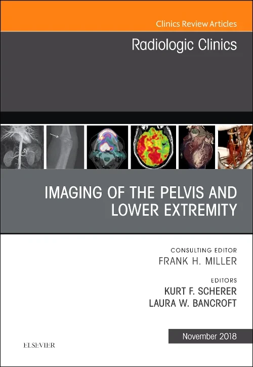 Imaging of the Pelvis and Lower Extremity, An Issu...