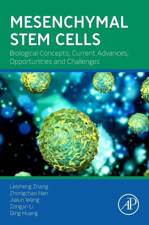 Mesenchymal Stem Cells