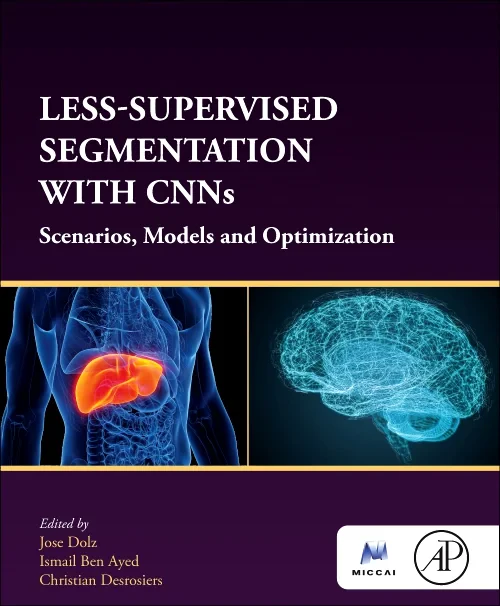 Less-Supervised Segmentation with CNNs