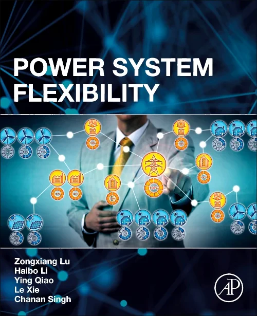 Power System Flexibility