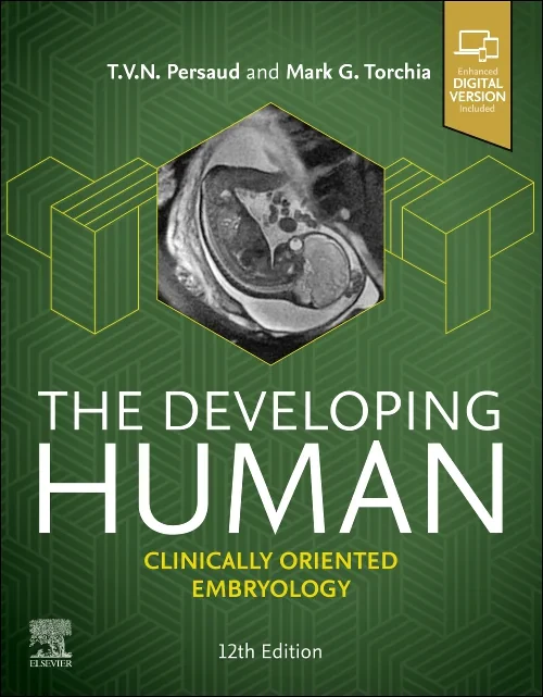 The Developing Human