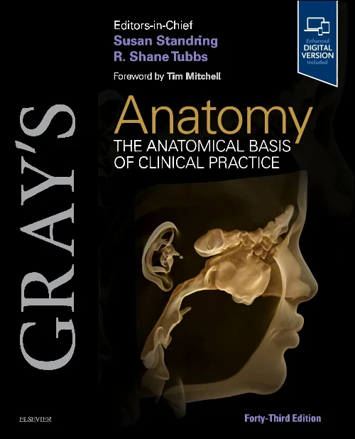Gray's Anatomy