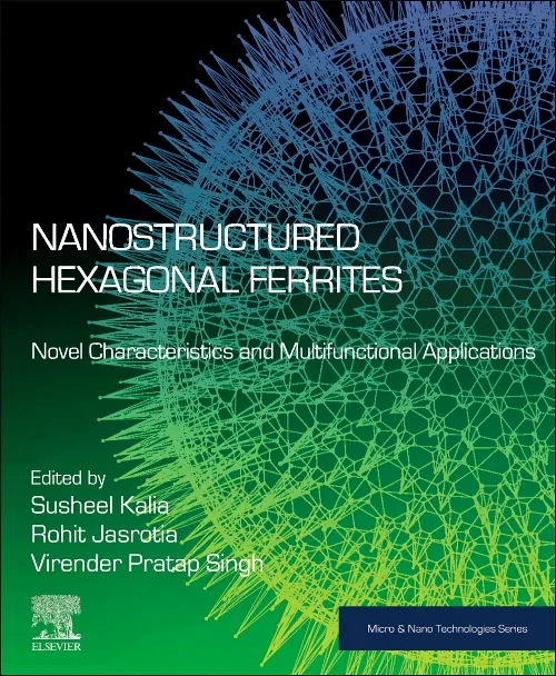 Nanostructured Hexagonal Ferrites