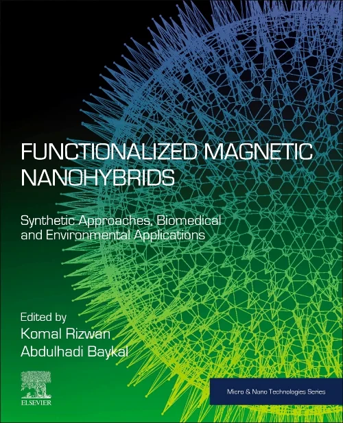 Functionalized Magnetic Nanohybrids