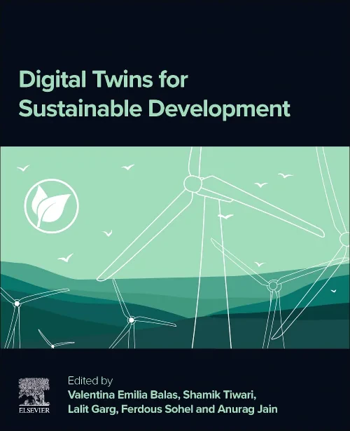 Digital Twins for Sustainable Development