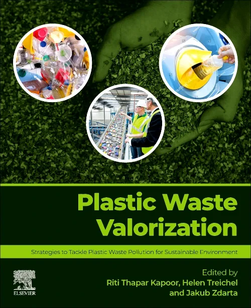 Plastic Waste Valorization