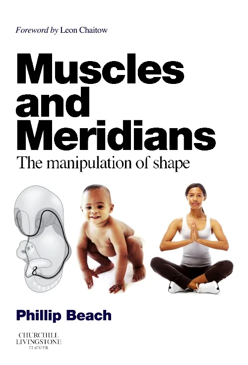 Muscles and Meridians