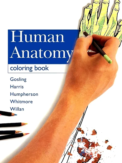 Human Anatomy Coloring Book