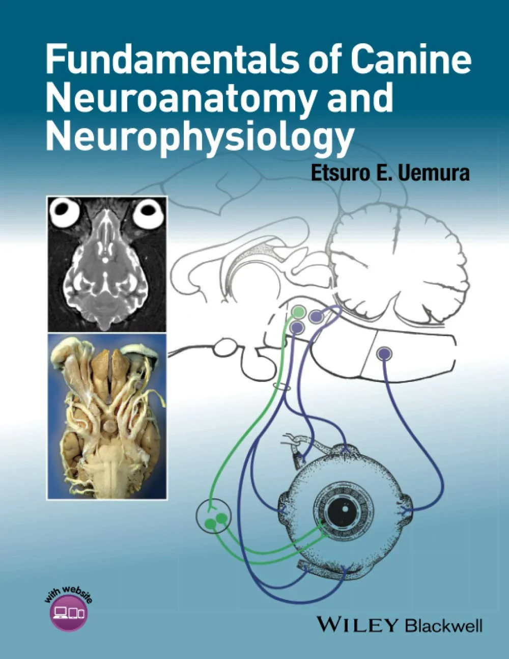 Coperta cărții "Fundamentals of Canine Neuroanatomy and Neurophysiology" de autor necunoscut