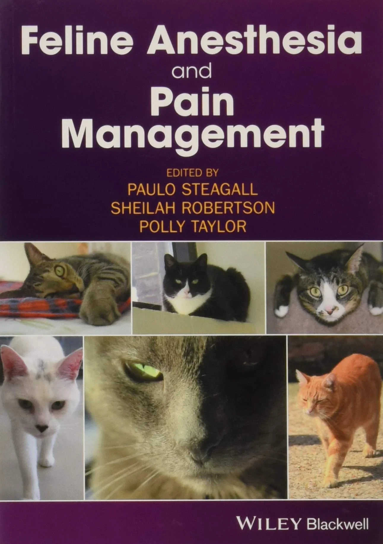 Coperta cărții "Feline Anesthesia and Pain Management" de autor necunoscut