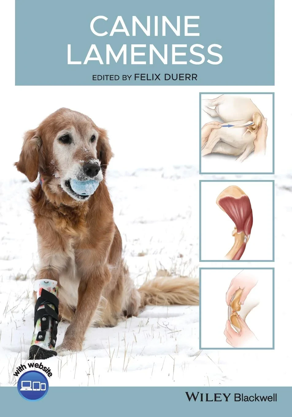 Coperta cărții "Canine Lameness" de autor necunoscut