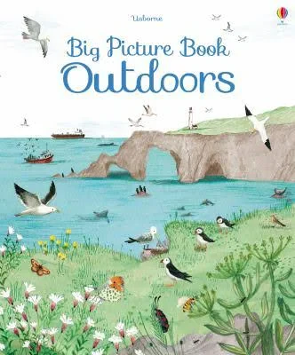 Coperta cărții "Big Picture Book Outdoors" de autor necunoscut