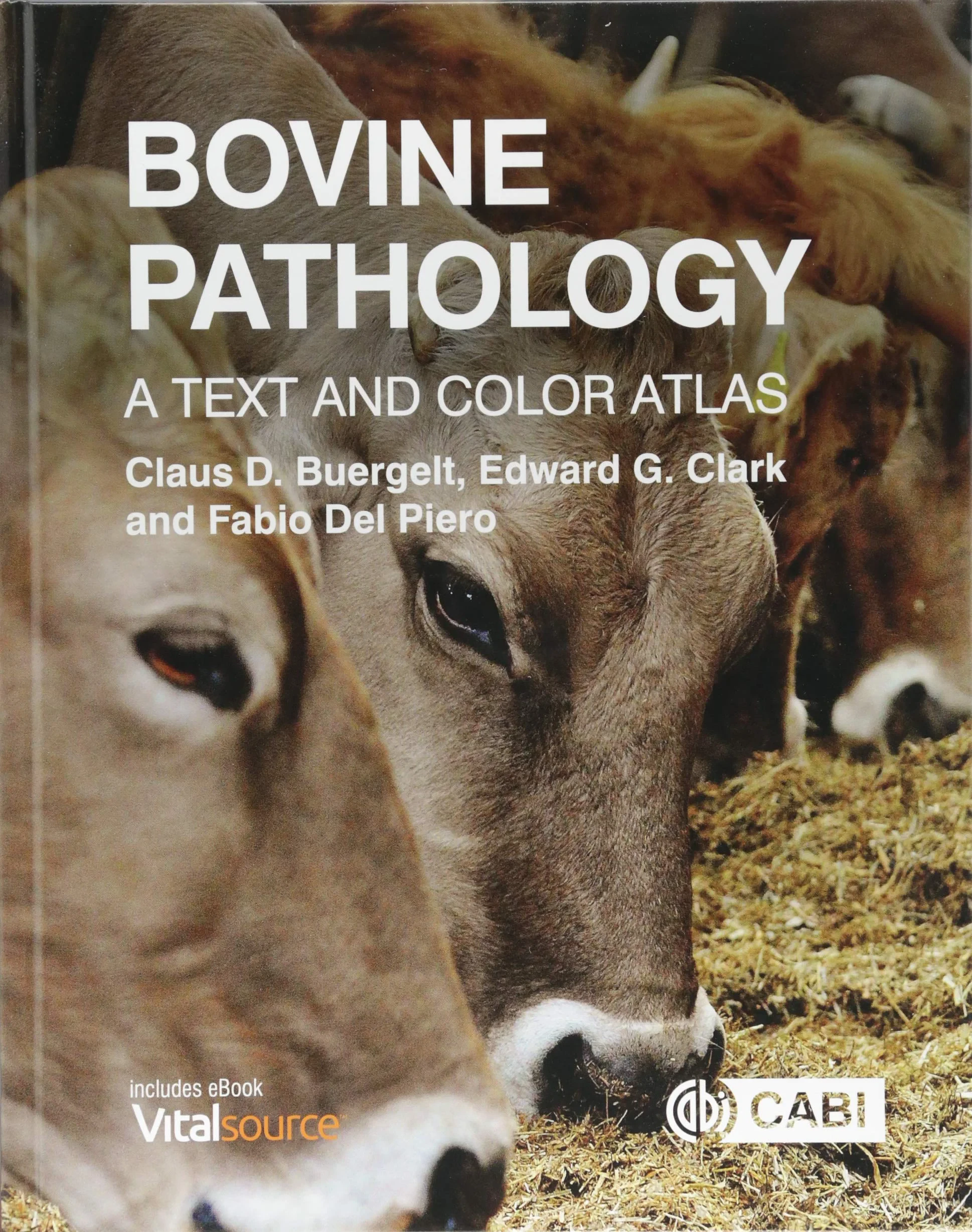 Coperta cărții "Bovine Pathology: A Text and Color Atlas" de autor necunoscut