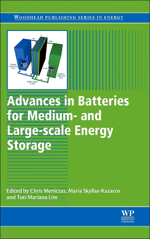 Advances in Batteries for Medium and Large-Scale E...