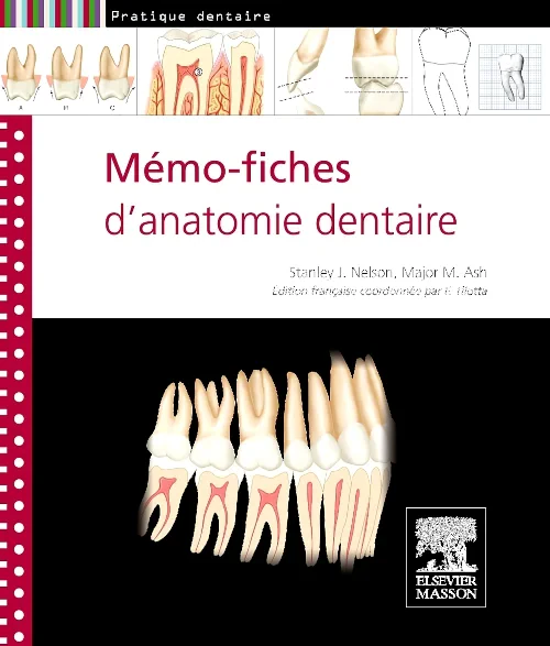 M?mo-fiches d'anatomie dentaire