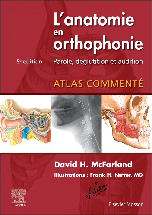 L'anatomie en orthophonie