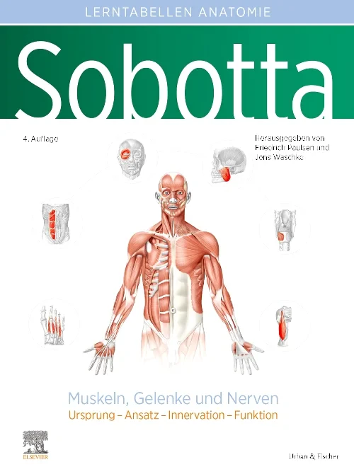 Sobotta Lerntabellen Anatomie Muskeln, Gelenke und...