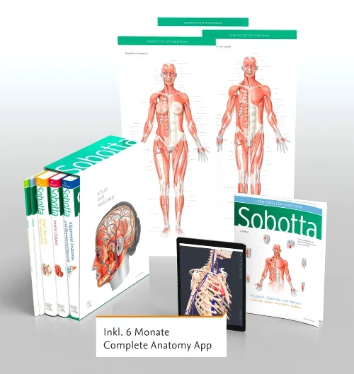 Sobotta Atlas der Anatomie, 3 Bände + Lerntabellen...