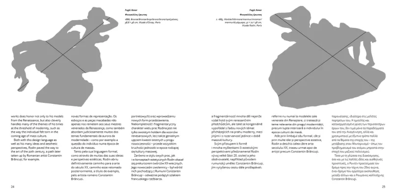 Coperta cărții "Rodin" de autor necunoscut